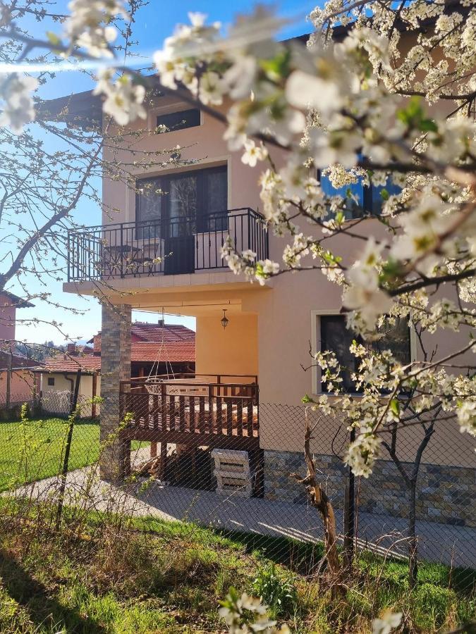 Bella Family Guest House Szapareva Banja Kültér fotó